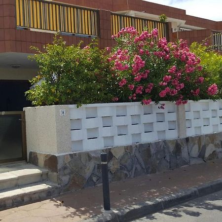 Apartmán Apartamento Cerca De La Playa Acantilado de los Gigantes Exteriér fotografie