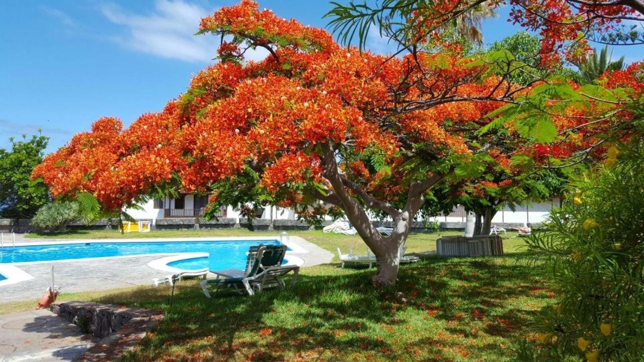 Apartmán Apartamento Cerca De La Playa Acantilado de los Gigantes Exteriér fotografie